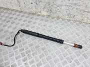 Heckklappe Gasdruckfeder links VOLVO S90 II 2.0 D3 31371787