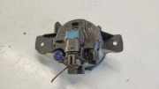 Nebelscheinwerfer vorne rechts RENAULT LAGUNA II (BG0/1_) 2.2 dCi (BG0F) 89211093 88044