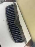Vorderer oberer Gitter SKODA FABIA II (542) 1.2 5J0853668A