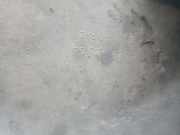 Linke Ecke Frontstoßstange TOYOTA RAV 4 II (_A2_) 2.0 4WD (ACA21, ACA20) 5216242902