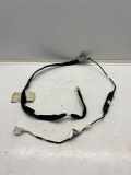 SONSTIGE KABELBÄUME RENAULT MEGANE IV (B9A/M_) 1.5 dCi 110 (B9A3) 153904