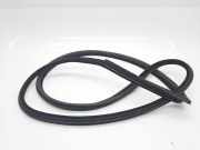 Türgummi links vorne BMW 3er Coupe (E92) 7119091