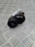 Riemenspanner BMW X5 (E70) xDrive 40 d