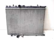 Kühler Peugeot 307 ()