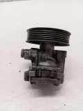 Servolenkungspumpe MITSUBISHI GRANDIS (NA_W) 2.0 DI-D (NA8W)