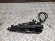 Türaußengriff hinten links BMW X5 (F15, F85) xDrive 35 i 7348742