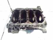 Motorblock Skoda Roomster (5J) 030103019AC