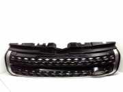 Kühlergrill oben Land Rover Range Rover Evoque I (L538) GJ328200FB