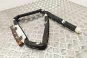 Airbag Dach links Renault Grand Scenic III (JZ) 24713300214