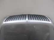 Motorhaube Hyundai XG ()