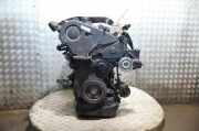 Motor ohne Anbauteile (Diesel) Toyota Avensis Verso (M2) 1CD