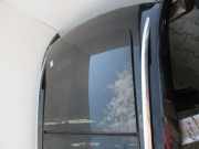 Dach mit Sonnendachausschnitt VW Tiguan II (AD)