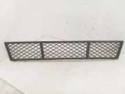 Gitter vorne unten BMW 5 Touring (F11) 525 d