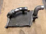 Kühlerluftumlenker AUDI A8 D3 (4E2, 4E8) 4.2 quattro 038906051B