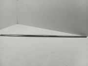 Vertikale Verkleidung an der hinteren linken Tür VOLVO S60 II D3