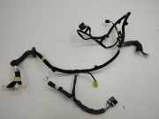 Kabel Tür Renault Kadjar (HA, HL) 241251894R
