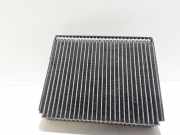 Klimaverdampfer Hyundai Santa Fe II (CM)