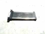Elektrischer Schulterschulterkühler AUDI A4 (8EC, B7) 2.0 TDI 8E1819011
