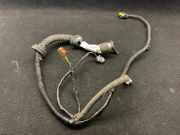 Türverkabelung hinten rechts NISSAN QASHQAI / QASHQAI +2 I (J10, JJ10) 2.0 dCi 24127JD00D