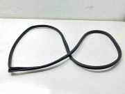 Türdichtung Hyundai Tucson III (TL, TLE)