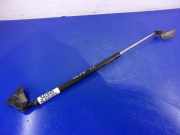 Heckklappendämpfer links Suzuki Liana Kombi (ER)