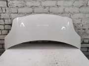 Motorhaube TOYOTA VITZ (_P13_) 1.4 D-4D (NLP130_)