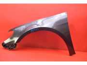 Kotflügel links vorne VW Passat B6 CC (357)