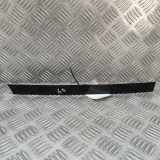 Vertikale Verkleidung an der hinteren rechten Tür BMW iX3 (G08) Electric (286 HP) 7410050