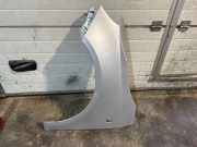 Kotflügel vorne links SKODA FABIA II (542) 1.4 TDI