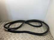 Dichtung für Koffer-/Laderaumklappe BMW 4er Coupe (F32, F82)