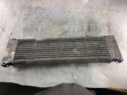 Ladeluftkühler MERCEDES-BENZ VITO / MIXTO Furgon (W639) 111 CDI