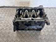 Motorblock AUDI Q5 (FY) 45 TFSI Mild Hybrid quattro 06Q103023A