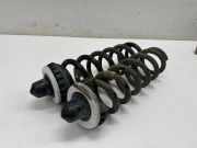 Fahrwerksfeder hinten rechts BMW 3 (G20, G28) 3 (G20) 320 i