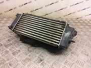 Ladeluftkühler Ford EcoSport () C1B19L440AD