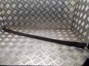 Andere Verkleidungsteile AUDI A4 (8EC, B7) 3.0 TDI quattro 8h0807989