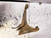 Stange/Strebe für Radaufhängung rechts Audi A4 (8D, B5)