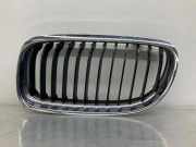 Vorderer oberer Gitter BMW 3 Touring (E91) 320 d 7201967