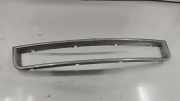Gitter vorne unten AUDI A4 (8E2, B6) 2.5 TDI 8E0807647
