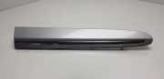 Kotflügelzierleiste hinten links MERCEDES-BENZ CLK Cabrio (A209) CLK 320 CDI (209.420) A2096902662