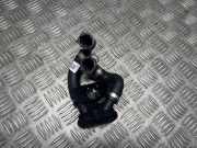 Schlauch Kühlung BMW X7 (G07) xDrive 40 i 8780517