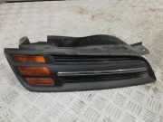 Schutzleiste Kotflügel Nissan Micra II (K11)