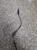 Abgastemperatursensor OPEL ZAFIRA B (A05) 1.9 CDTI 55355404