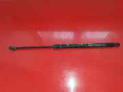 Heckklappe Gasdruckfeder rechts CHEVROLET CAPTIVA (C100, C140) 2.4 4WD 96830123