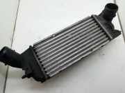 Ladeluftkühler Citroen C5 II (RC) 874823NK