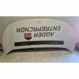 Motorhaube CITROËN JUMPY Furgon 2.0 HDi 165
