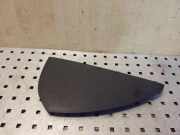 Armaturenbrett Seitenverkleidung