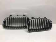 Vorderer oberer Gitter BMW 1 (E87) 116 i 7128613