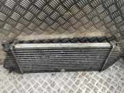 Ladeluftkühler MERCEDES-BENZ M (W163) ML 270 CDI (163.113)