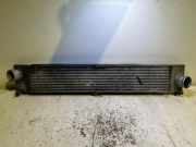 Ladeluftkühler FIAT DUCATO Furgon (244_) 2.0 JTD FA1BF9855