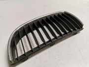 Vorderer oberer Gitter BMW 3 Touring (E91) 320 d 7120007